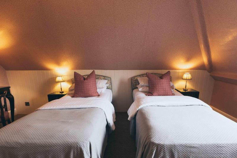 Standard Twin Room image 2