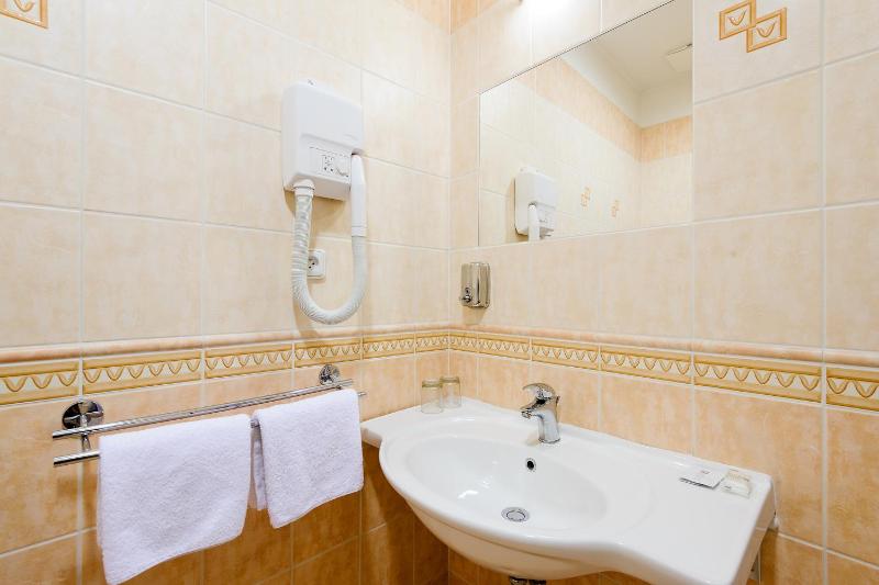 Standard Single Room image 2