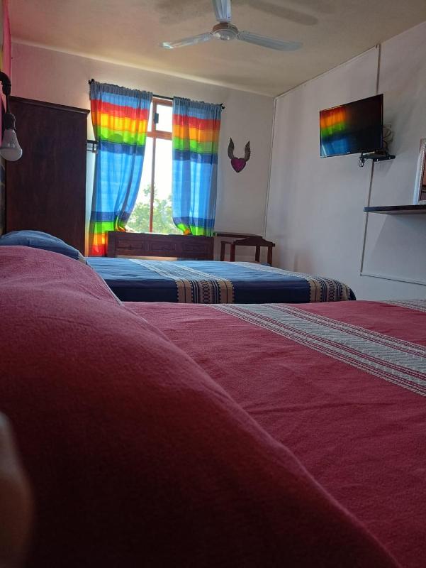 Double Room with Two Double Beds image 2