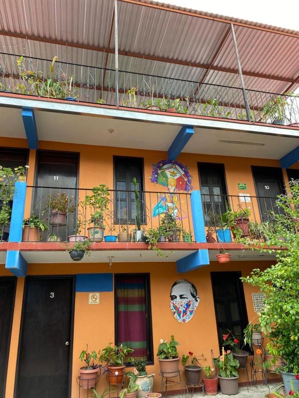 El Rincón de Doña Bety - image 11