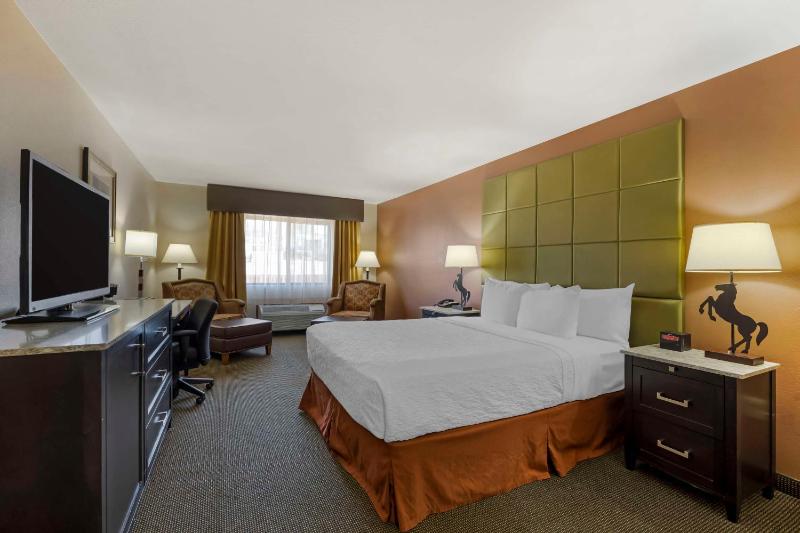 King Room image 2