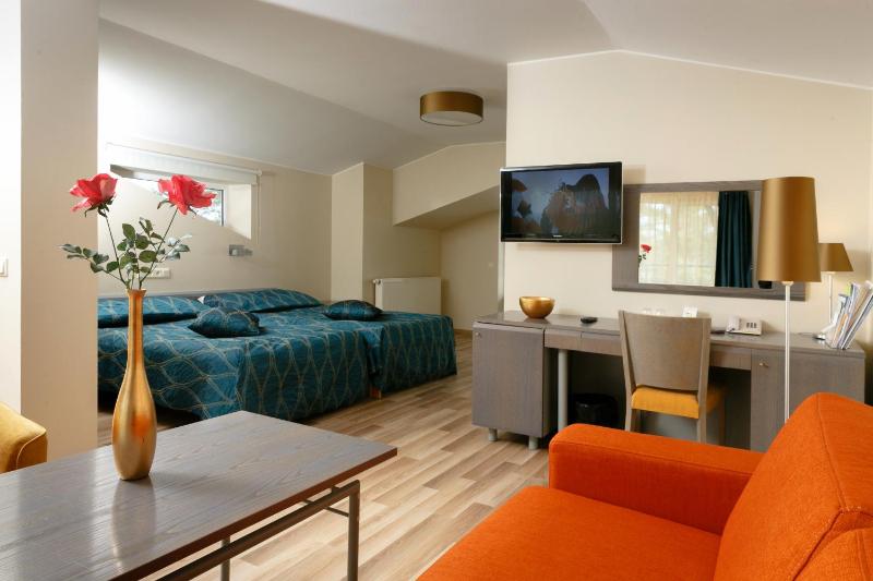 Deluxe Twin Room with Spa Access image 3