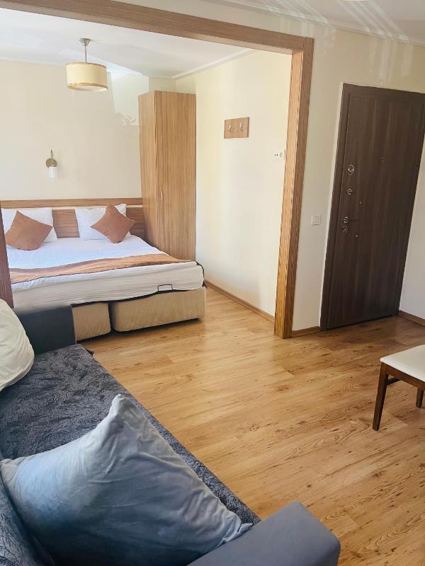 Deluxe Apartment image 3