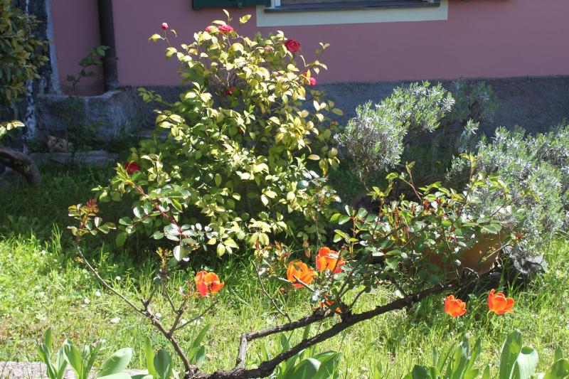 Le Ginestre - image 36