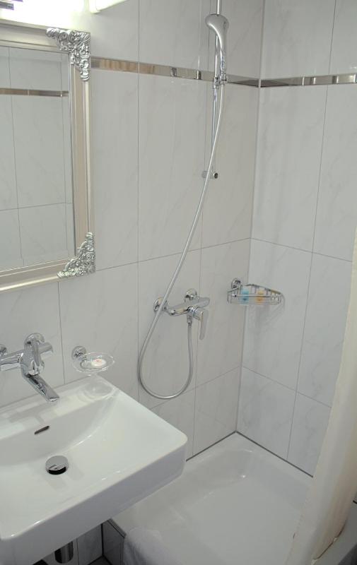 Single Room image 4