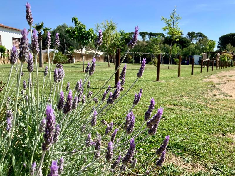 Studio Apartment 1 image 3