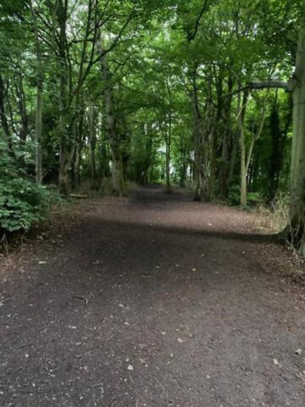 Penthouse Apartment image 2