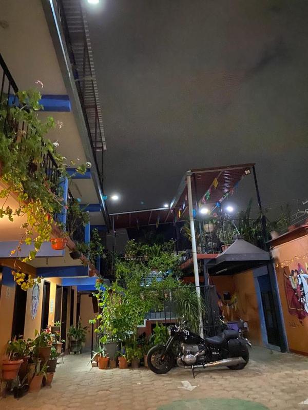 El Rincón de Doña Bety - image 7