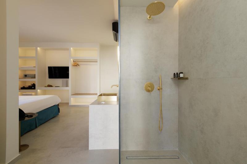 Premium Suite image 3