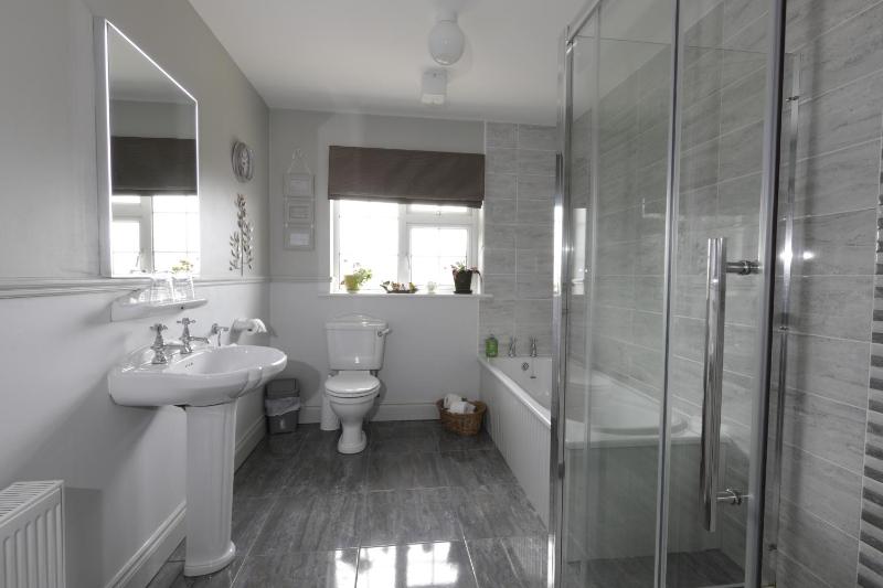Standard Twin Room image 3