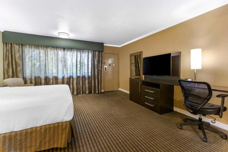 Royal Sun Hotel & Suites - image 19