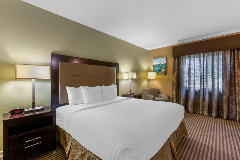 Royal Sun Hotel & Suites - image 10