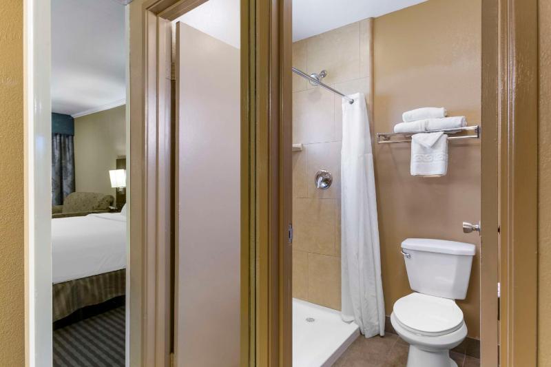 Royal Sun Hotel & Suites - image 2