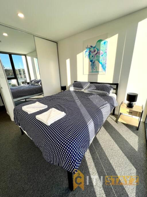 Fab in Phillip - 2bd 2bth Apt - Close to CBR Hospital - image 15