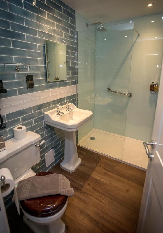 Superior Single Room image 3