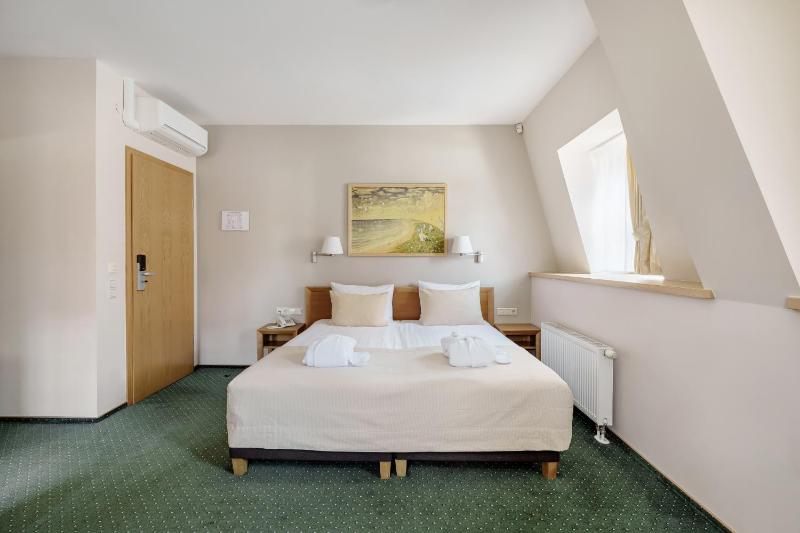 Business Double or Twin Room image 3