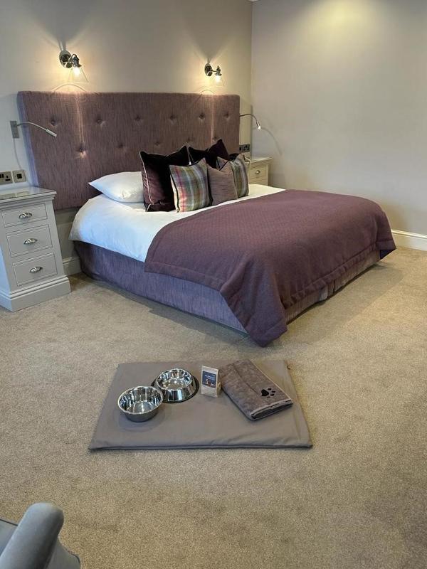 Better Double Room image 4