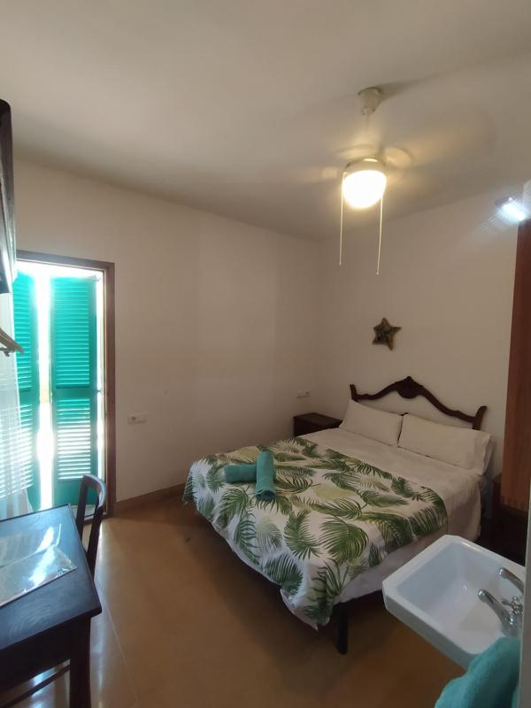Standard Double Room image 4