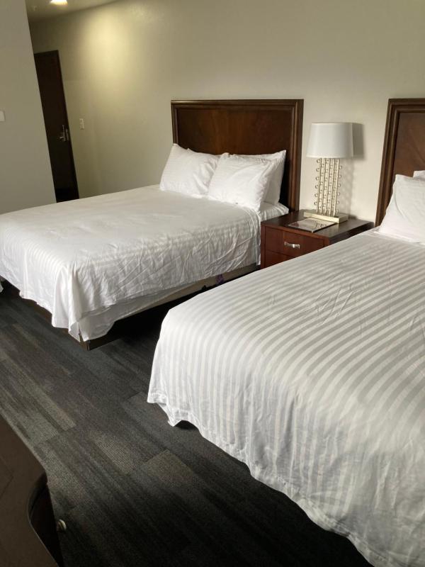 Deluxe Queen Room image 4