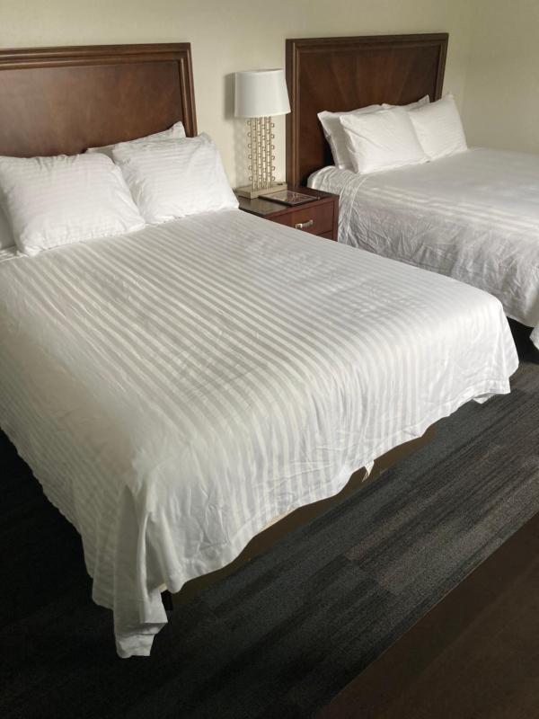 Deluxe Queen Room image 2