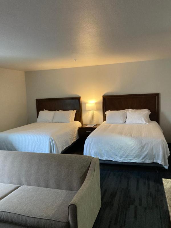 Deluxe Queen Suite image 1