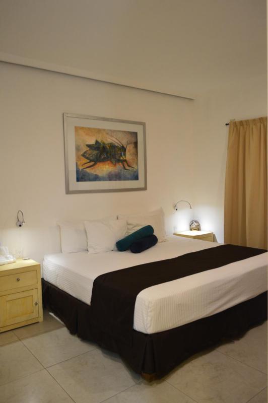 La Cochinilla Hotel Boutique - image 12