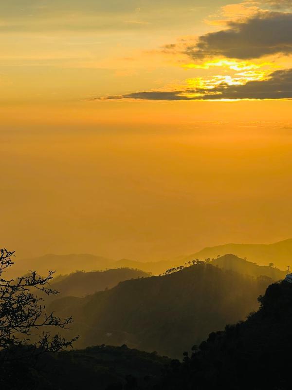 Samarth Kasauli hills - image 30