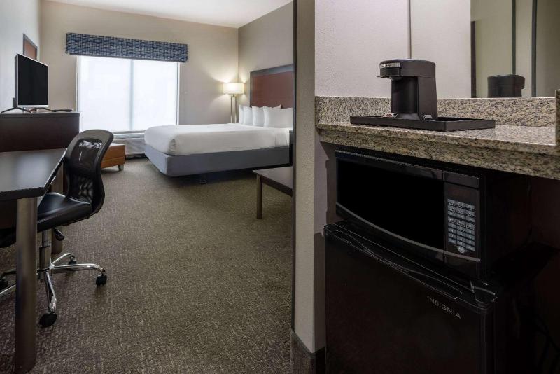 Wingate By Wyndham Atlanta Galleria Center - image 25