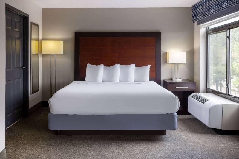 Wingate By Wyndham Atlanta Galleria Center - image 14