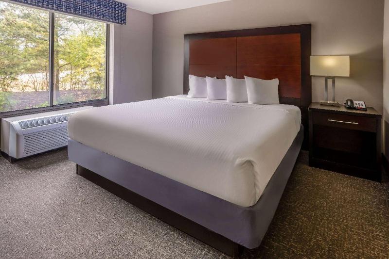 Wingate By Wyndham Atlanta Galleria Center - image 22