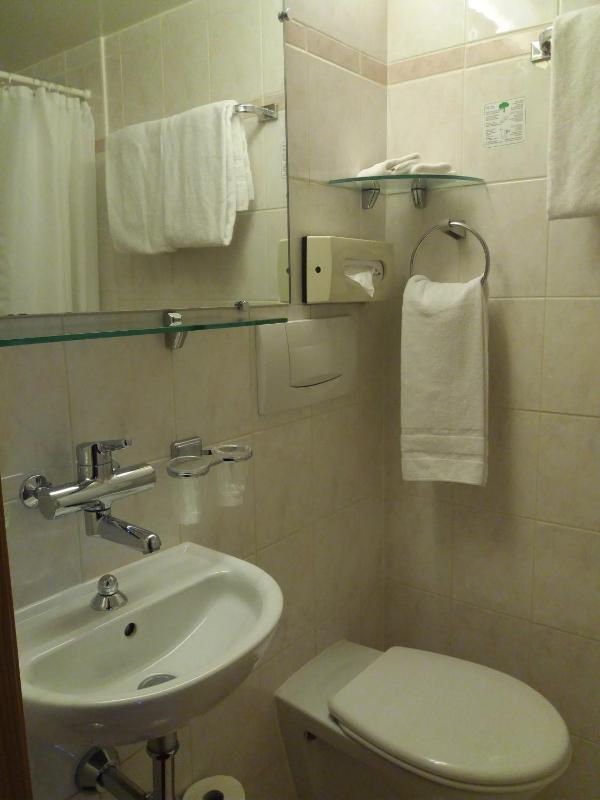 Deluxe Single Room image 2