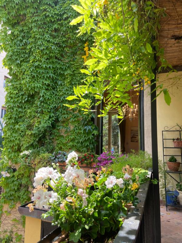Inn The Garden - image 24