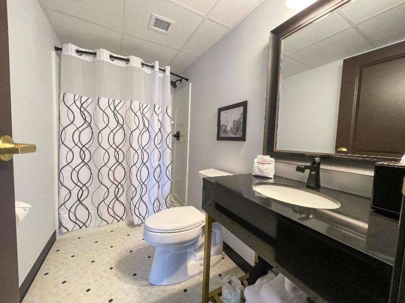 Suite image 2