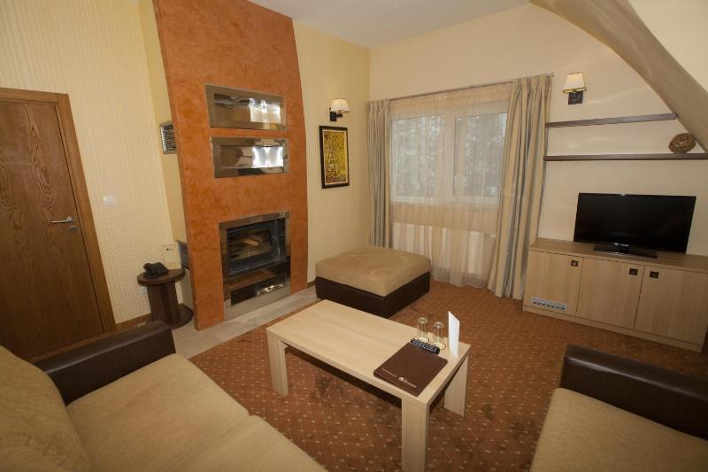 Deluxe Suite with Mountain View image 4