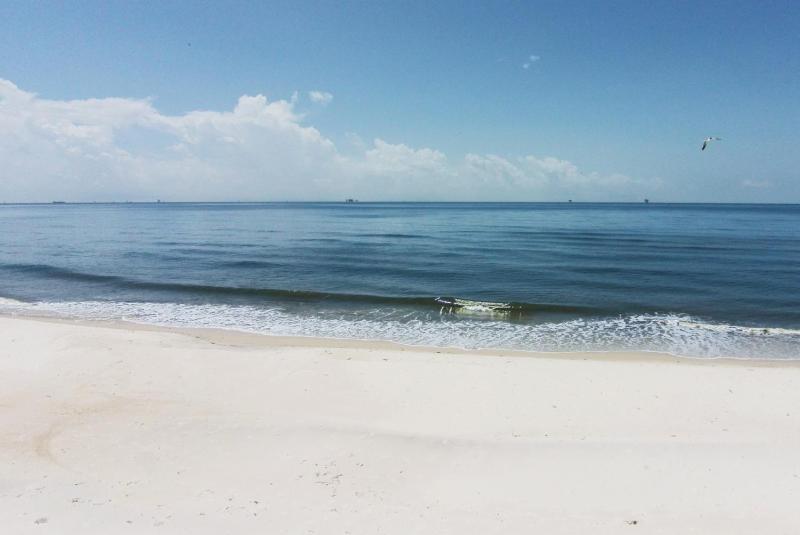Ocean Melody - image 1