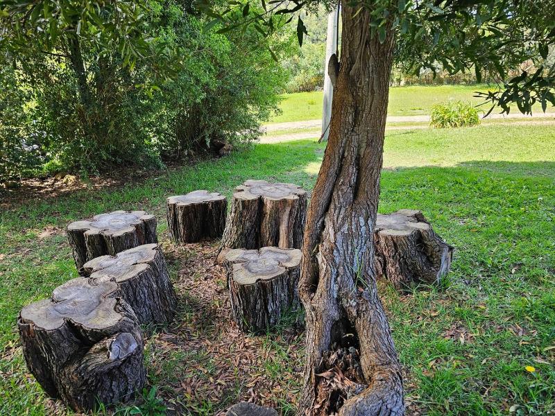 Rancho Nuevo - Ecoturismo - Cascadas la Periquera - image 16