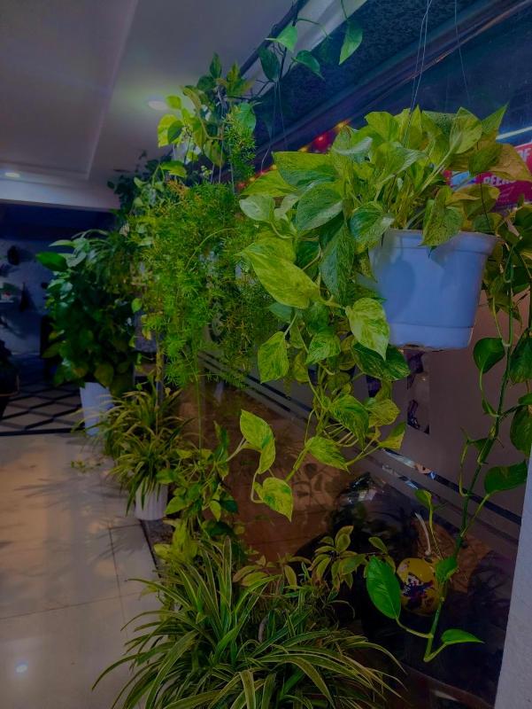MES HOTEL - Ngay Ben Ninh Kieu - image 19