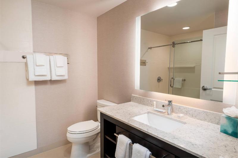 One-Bedroom King Suite with Sofa Bed image 2