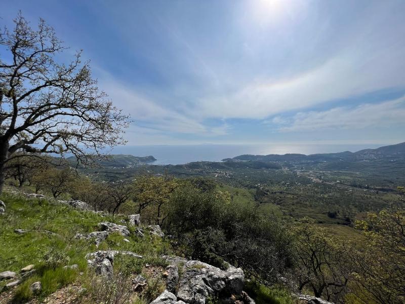 Elpis Guest House - image 11