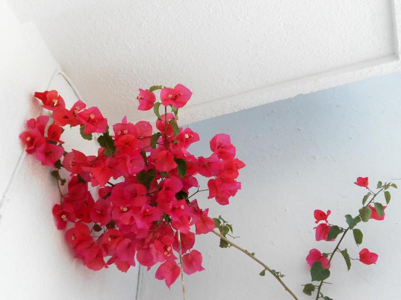 Aggela Guesthouse - image 17