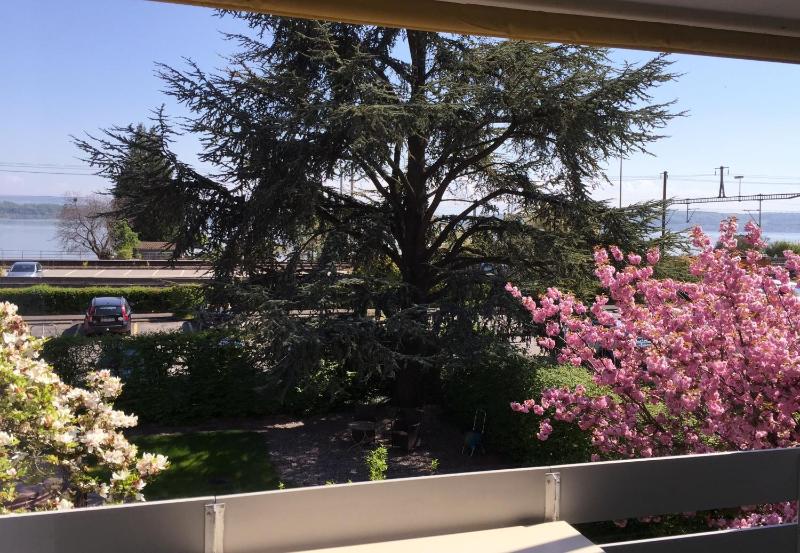 Twin Room with Balcony and Lake View image 3