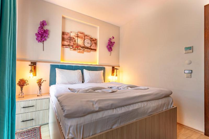 Standart Double Room with French Balcony image 3