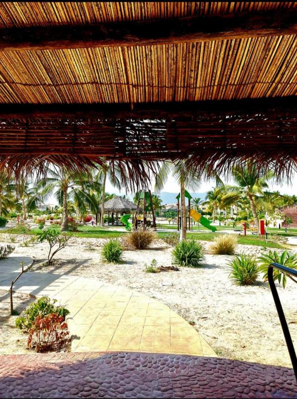Segal Salalah-Forest Island-Hawana - image 37