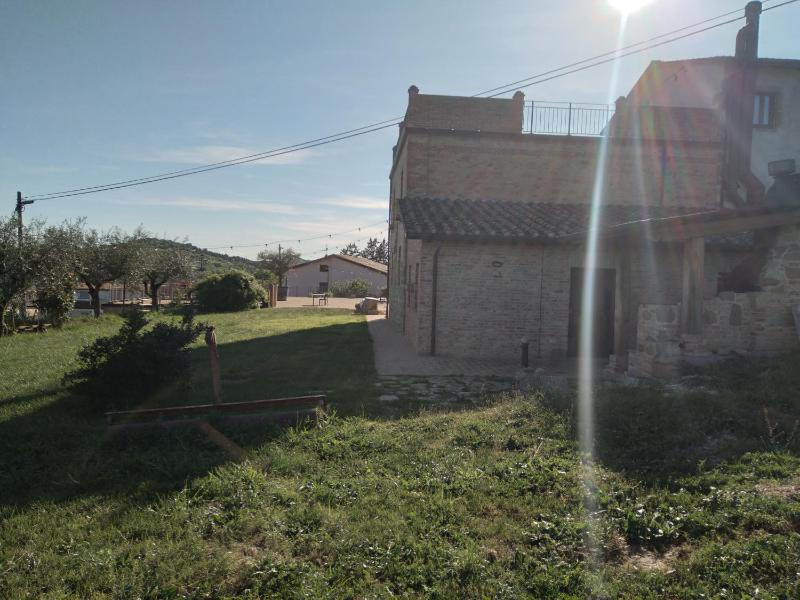 Fattoria di Pieve Pagliaccia - Cantina Brugnoni - image 11