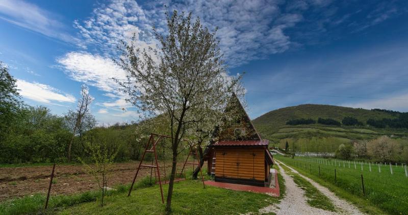 Holiday Home image 3