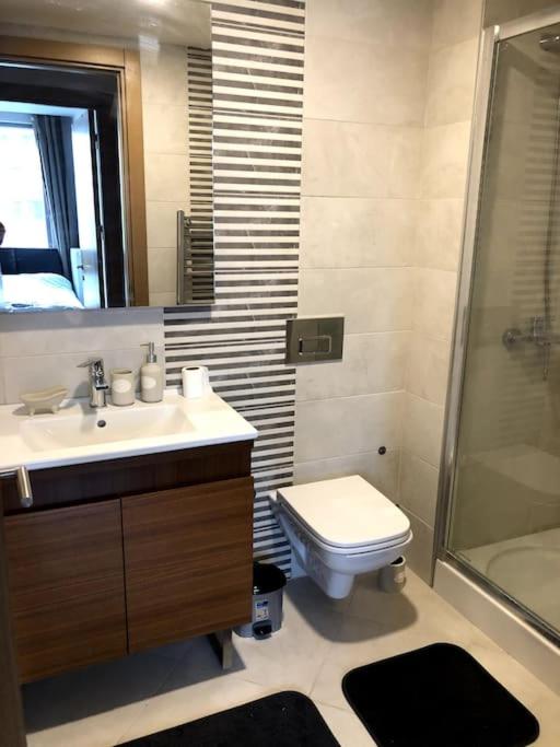 One-Bedroom Apartment image 3