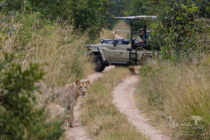 Tsowa Safari Island - image 16