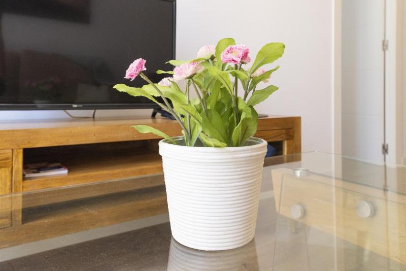 Urbe10 Terrace Constitucion 1 Bedroom Apartment - image 24