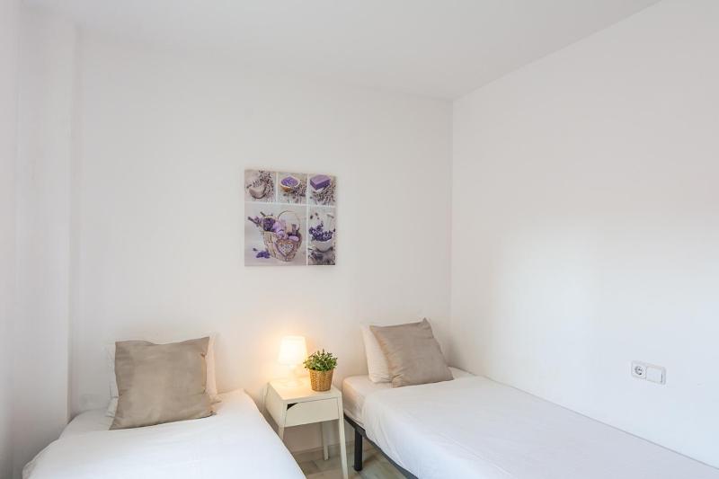 Apartment with Terrace image 4