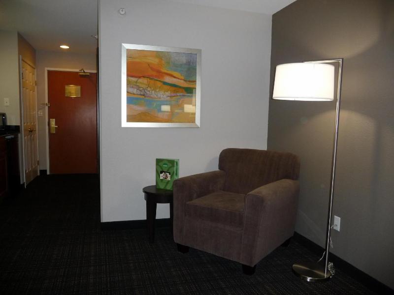 King Studio Suite - Non-Smoking image 3
